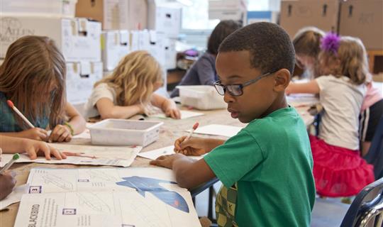 Several children at their school desks