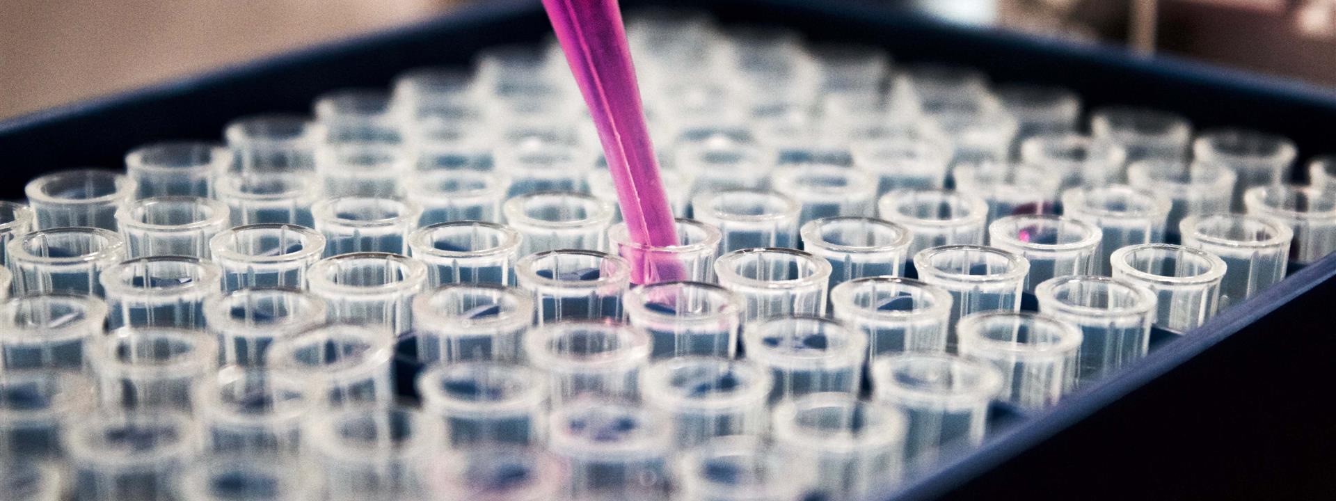 a dropper and test tubes in a laboratory