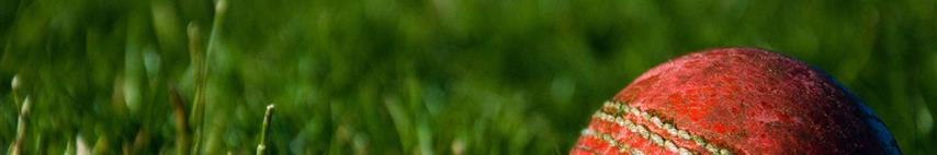 Red Cricket ball in grass